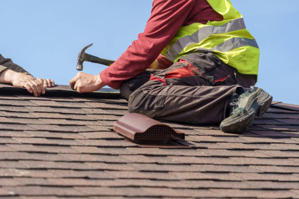 Roof Gutter Cleaning in Leisure World, MD